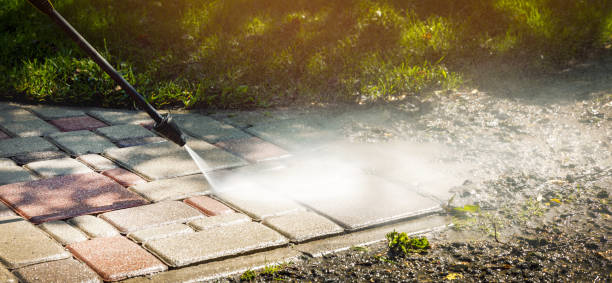 Best Solar Panel Cleaning  in Orange Park, FL
