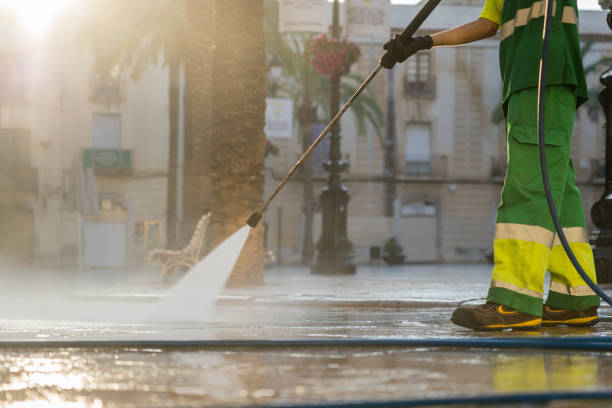Best Fence Cleaning  in Orange Park, FL